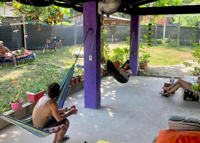 Passiflora Backpackers *