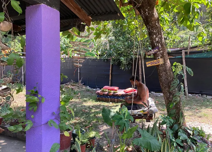 Passiflora Backpackers *